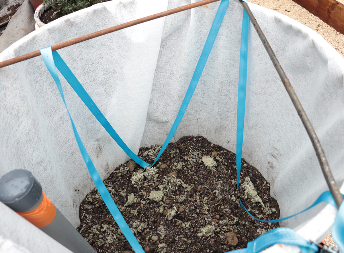 Un terreau composé de tourbe et de laine de roche hydroabsorbante