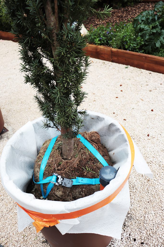 Le système d'ancrage de motte